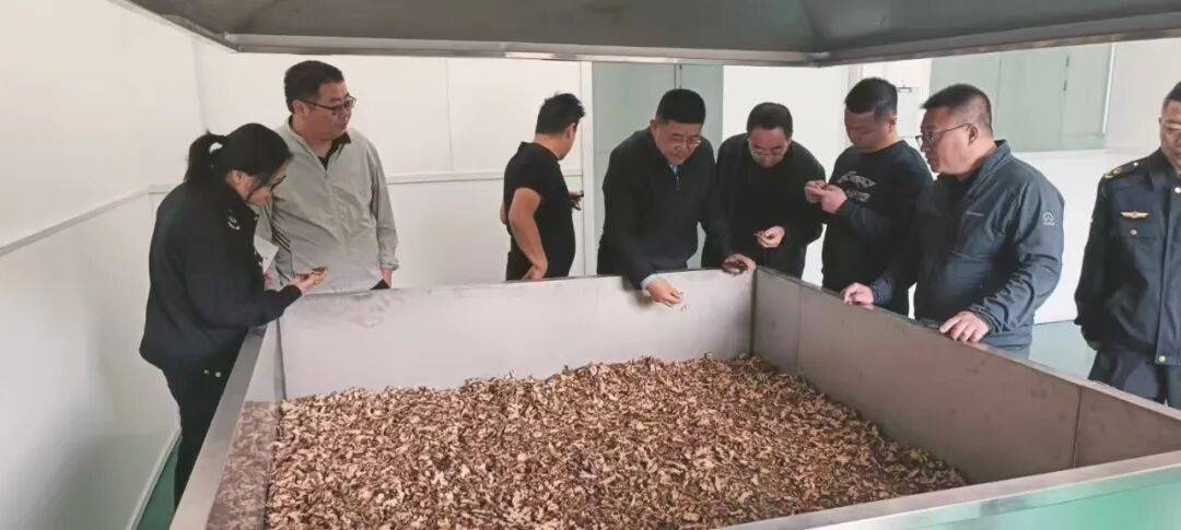 市药品检验所圆满完成2025年药品监督抽检工作